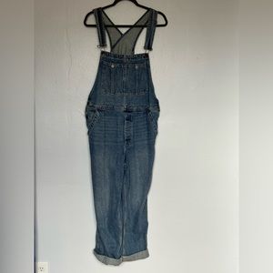 Free People Light Wash Overalls